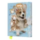 Emlékkönyv JUNIOR Corgi lakattal