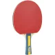 Joola Team Master pingpong ütő