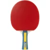 Joola Team Master pingpong ütő