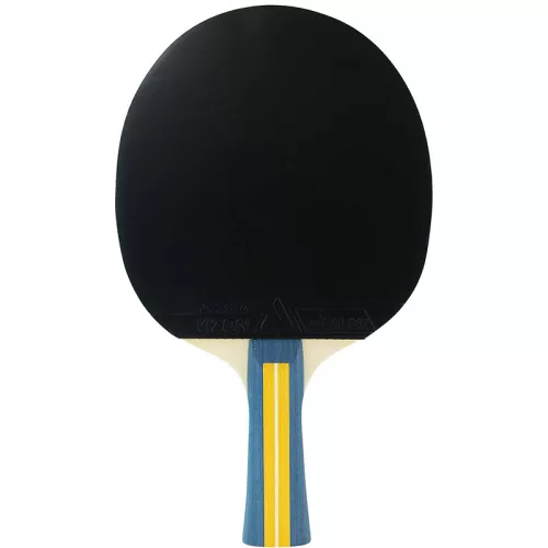 Joola Team Master pingpong ütő
