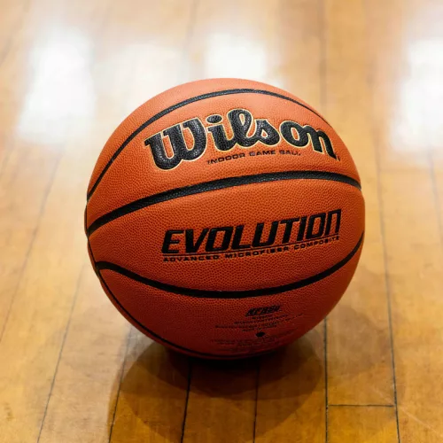 Kosárlabda Wilson Evolution 7-es méret narancs