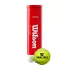 Teniszlabda Wilson Team W sárga 4 db