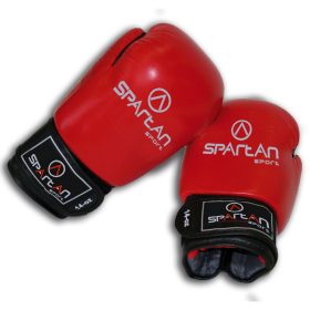 Boxkesztyű felnőtteknek 12oz