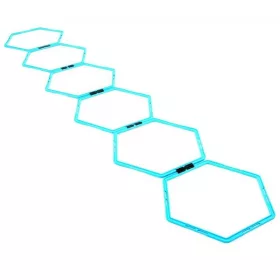 Hexa koordinációs létra Amaya