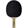 Ping-pong ütő Donic Legends 500 FSC