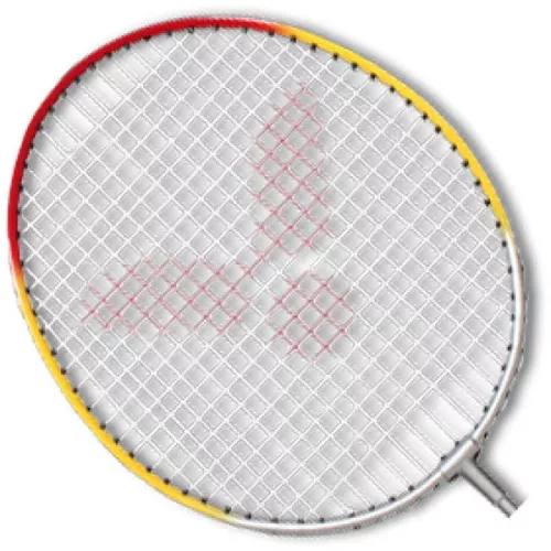 Tollaslabdaütő Victor Youngster