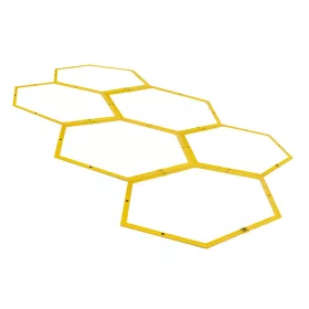 Hexa koordinációs létra Umbro