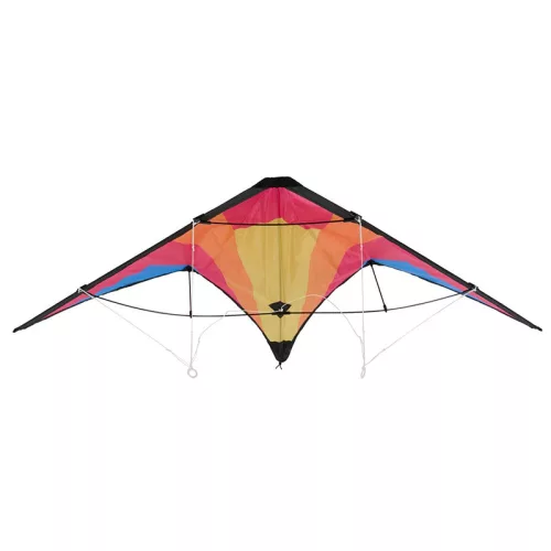 Sárkányrepülő 120x60 cm