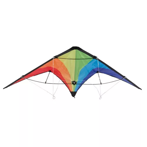 Sárkányrepülő 120x60 cm