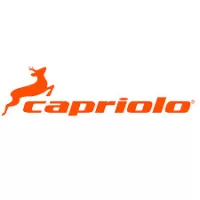 Capriolo