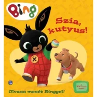 Bing könyvek