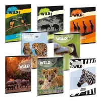 Füzetek, tűzött és spirálfüzetek