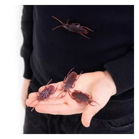 Élethű csótány bogarak dekoráció Halloweenre – 10 db