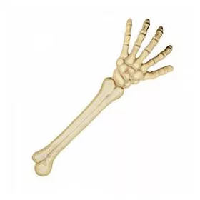   Nagy méretű csontváz kéz dekoráció, 46 cm-es Halloween kellék